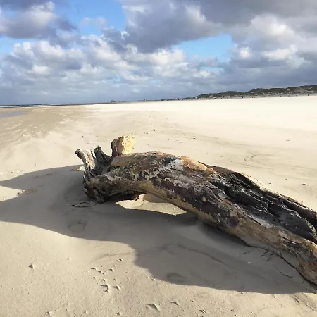 *hafenblick* * Wittdün