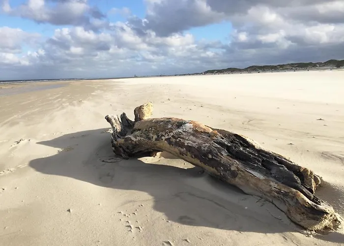 *hafenblick* * Wittdün